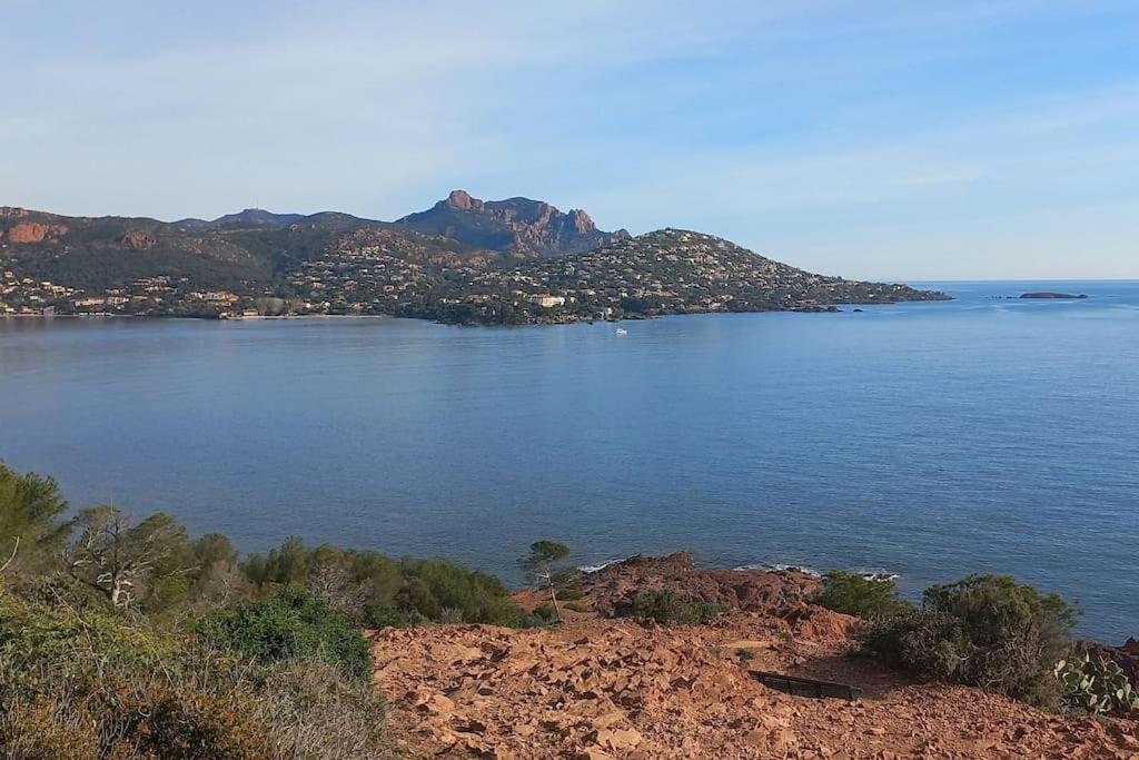 Vue Exceptionnelle-piscine